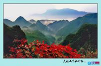 灵秀正安 《天楼山下秋叶红》                摄于凤仪大堡