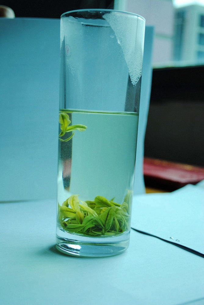 氨基酸含量9.1%的尹珍白茶2.jpg